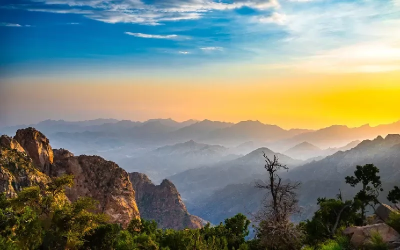 Taif, la città delle rose dell'Arabia Saudita